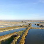Ma D'amis 4* Saint-Clément-des-Baleines